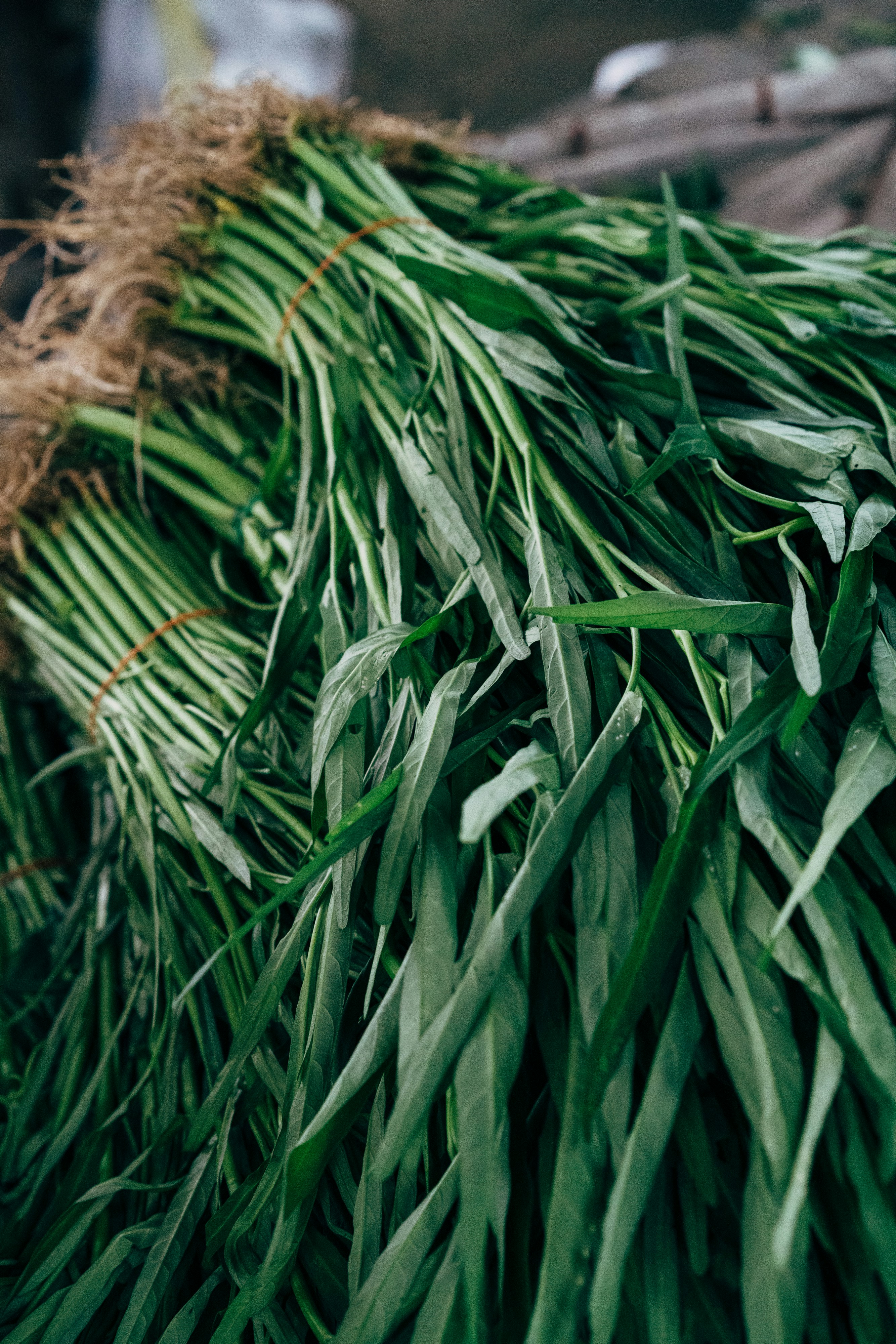 Photo by markuswinkler