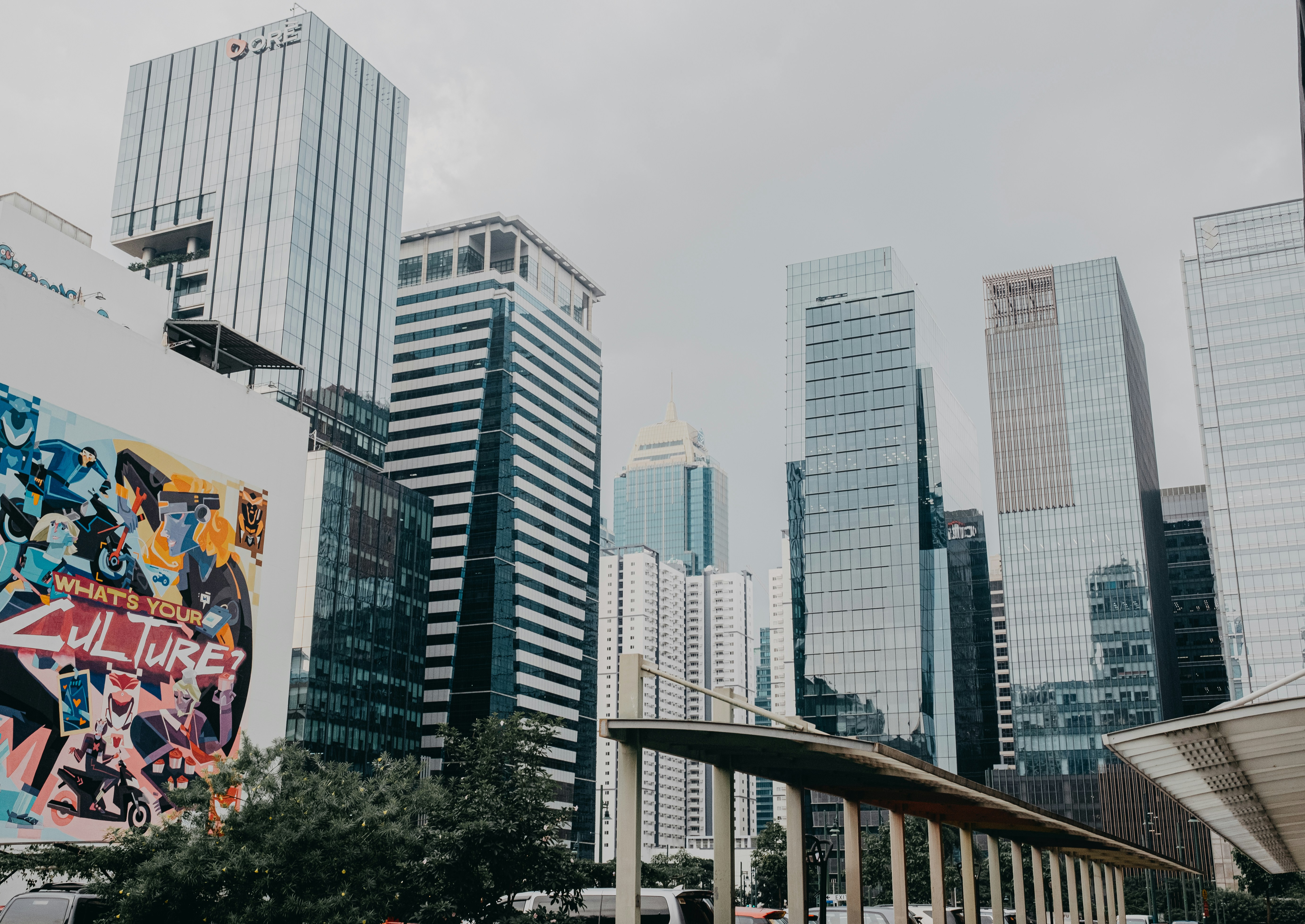 minimalist outdoor wallpaper, wallpaper, Japandi Outdoor Patio: Stylish, Pet-Friendly Design 4