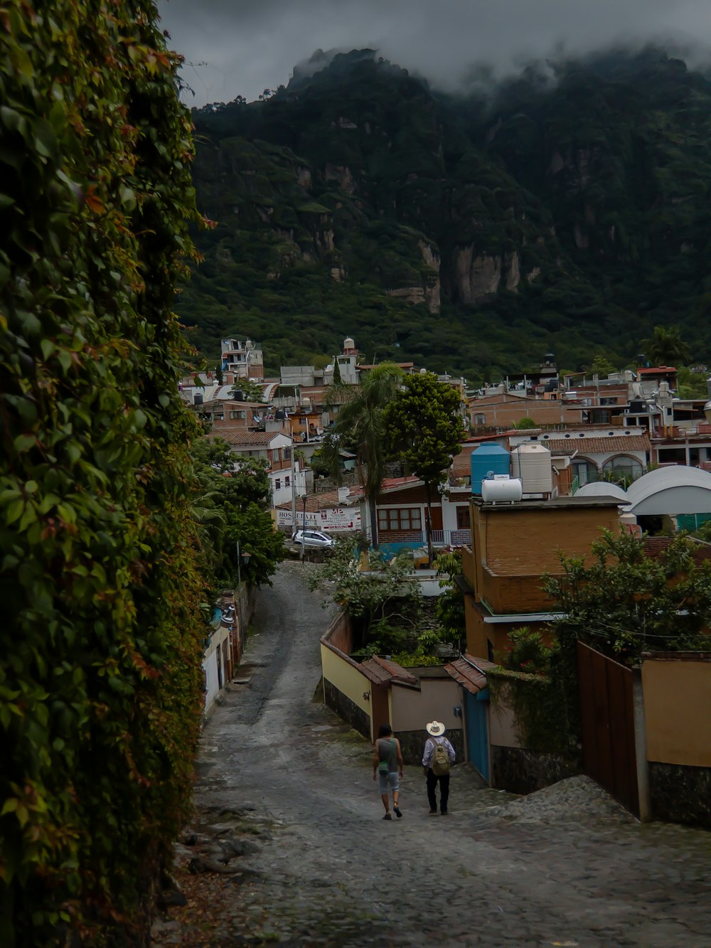 people walking on a path in a village