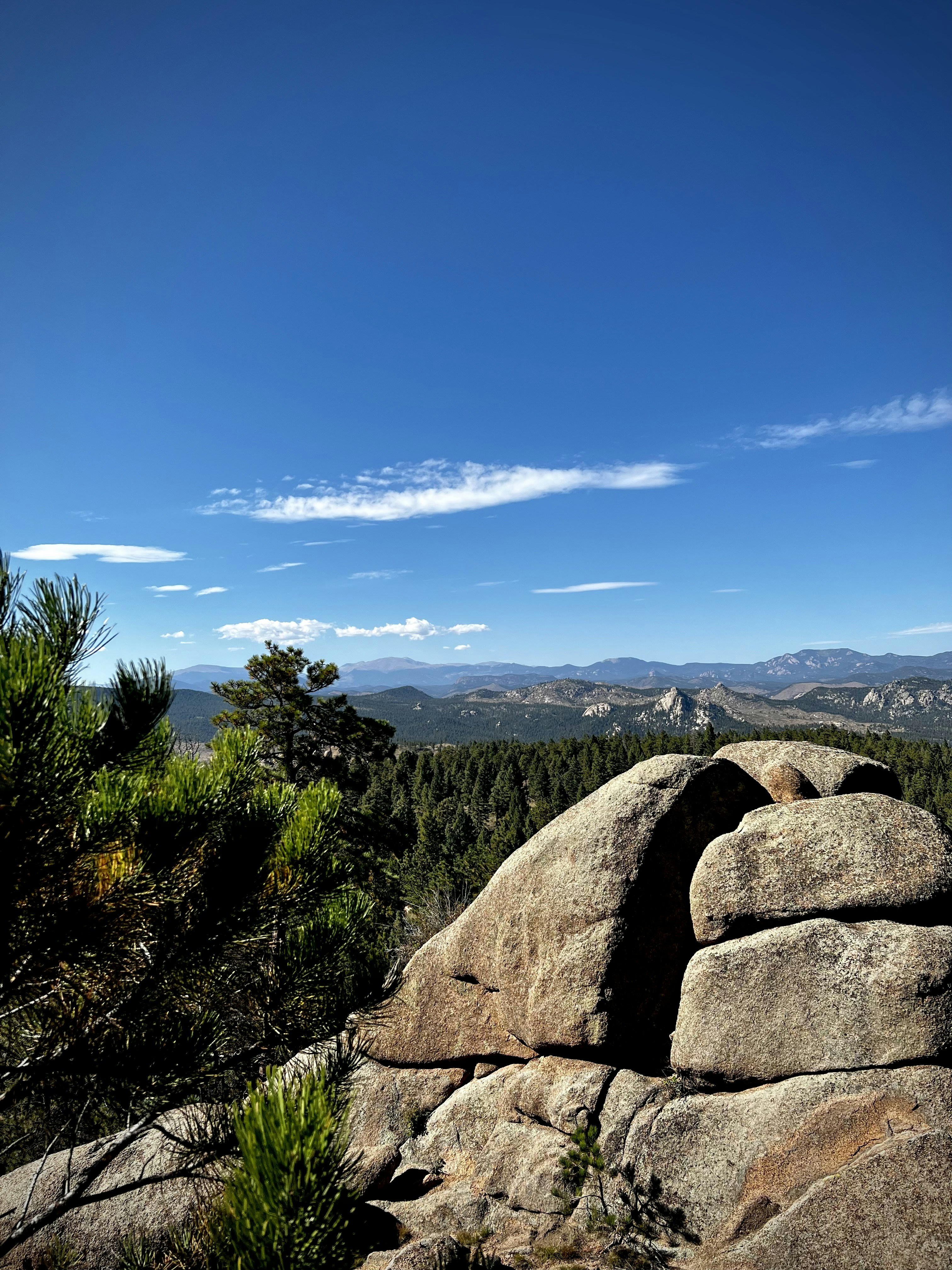 Photo by laitonbarbo