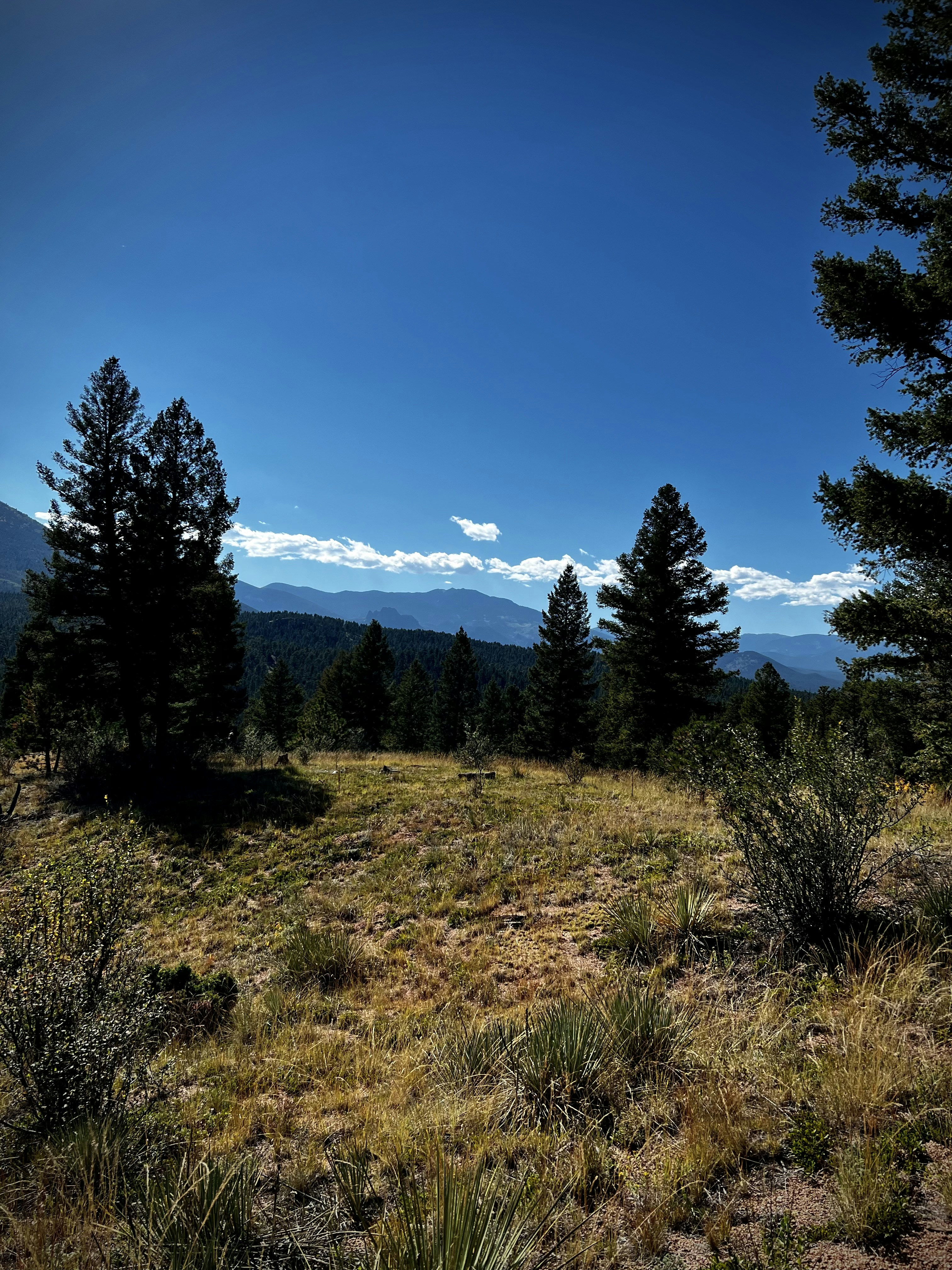 Photo by laitonbarbo