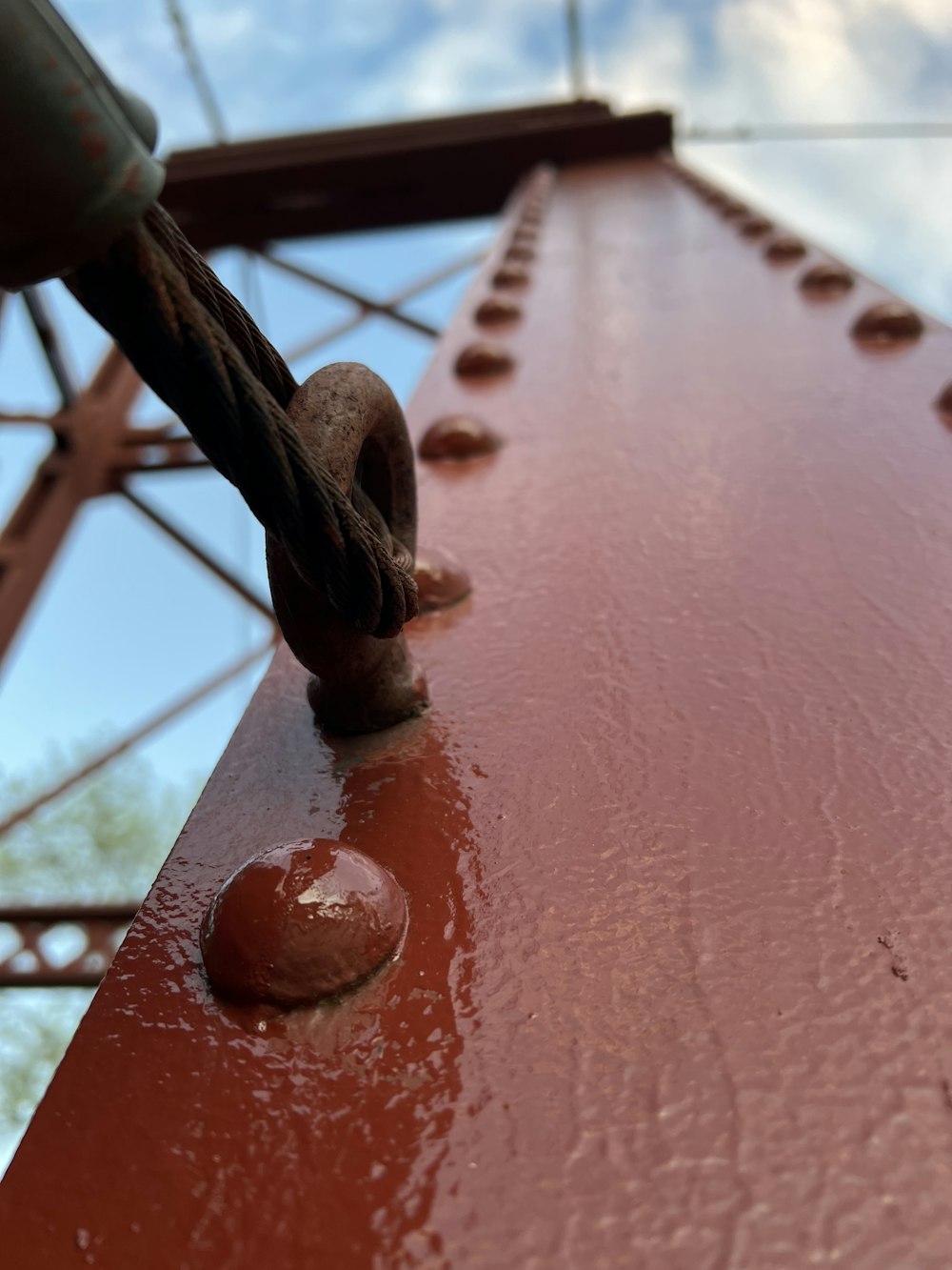 a snail on a red wall