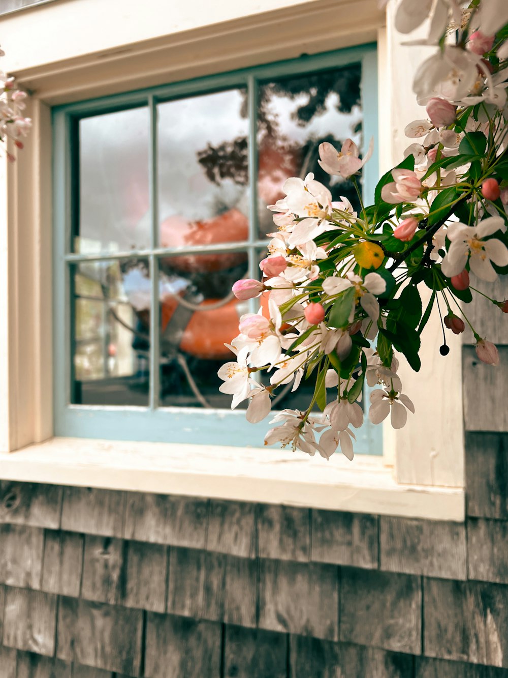 a window with flowers