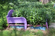 A garden bed made from a repurposed purple plastic bed frame is filled with lush green plants. The frame includes a headboard and footboard, surrounding the neatly arranged foliage. The setting is an outdoor garden area with vibrant grass and a variety of green plants growing around.