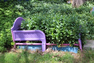A garden bed made from a repurposed purple plastic bed frame is filled with lush green plants. The frame includes a headboard and footboard, surrounding the neatly arranged foliage. The setting is an outdoor garden area with vibrant grass and a variety of green plants growing around.