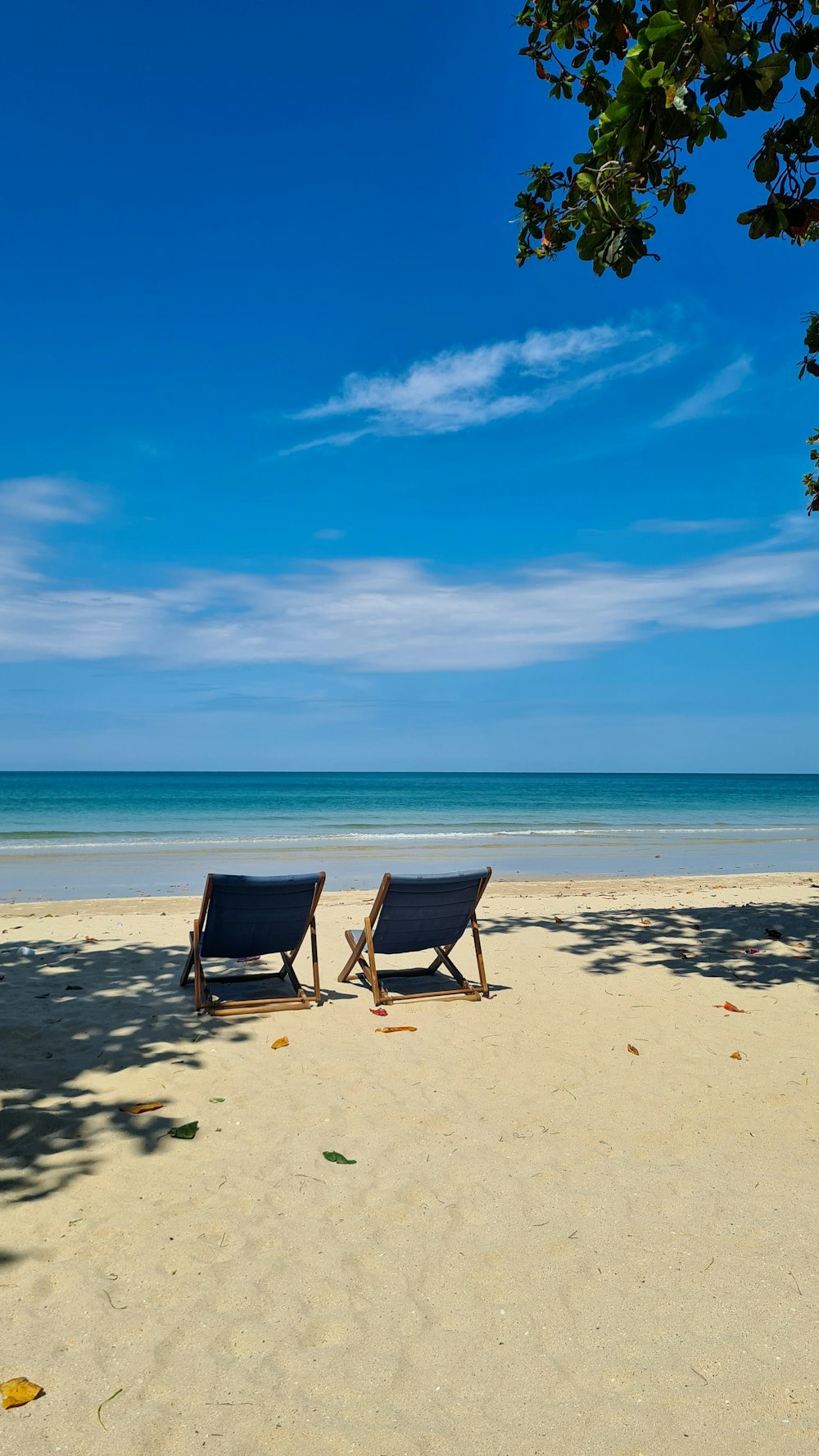 chairs on a beach