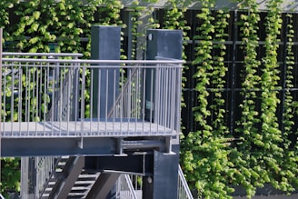 A modern metal staircase with railings is situated outdoors, surrounded by lush green vines growing vertically along a wall. The structure appears to be part of an urban environment, possibly an exterior stairway for a building.