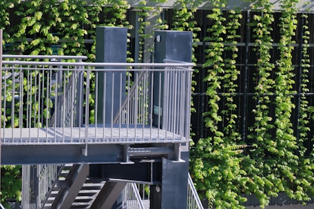 A modern metal staircase with railings is situated outdoors, surrounded by lush green vines growing vertically along a wall. The structure appears to be part of an urban environment, possibly an exterior stairway for a building.
