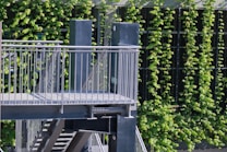 A modern metal staircase with railings is situated outdoors, surrounded by lush green vines growing vertically along a wall. The structure appears to be part of an urban environment, possibly an exterior stairway for a building.