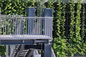 A modern metal staircase with railings is situated outdoors, surrounded by lush green vines growing vertically along a wall. The structure appears to be part of an urban environment, possibly an exterior stairway for a building.