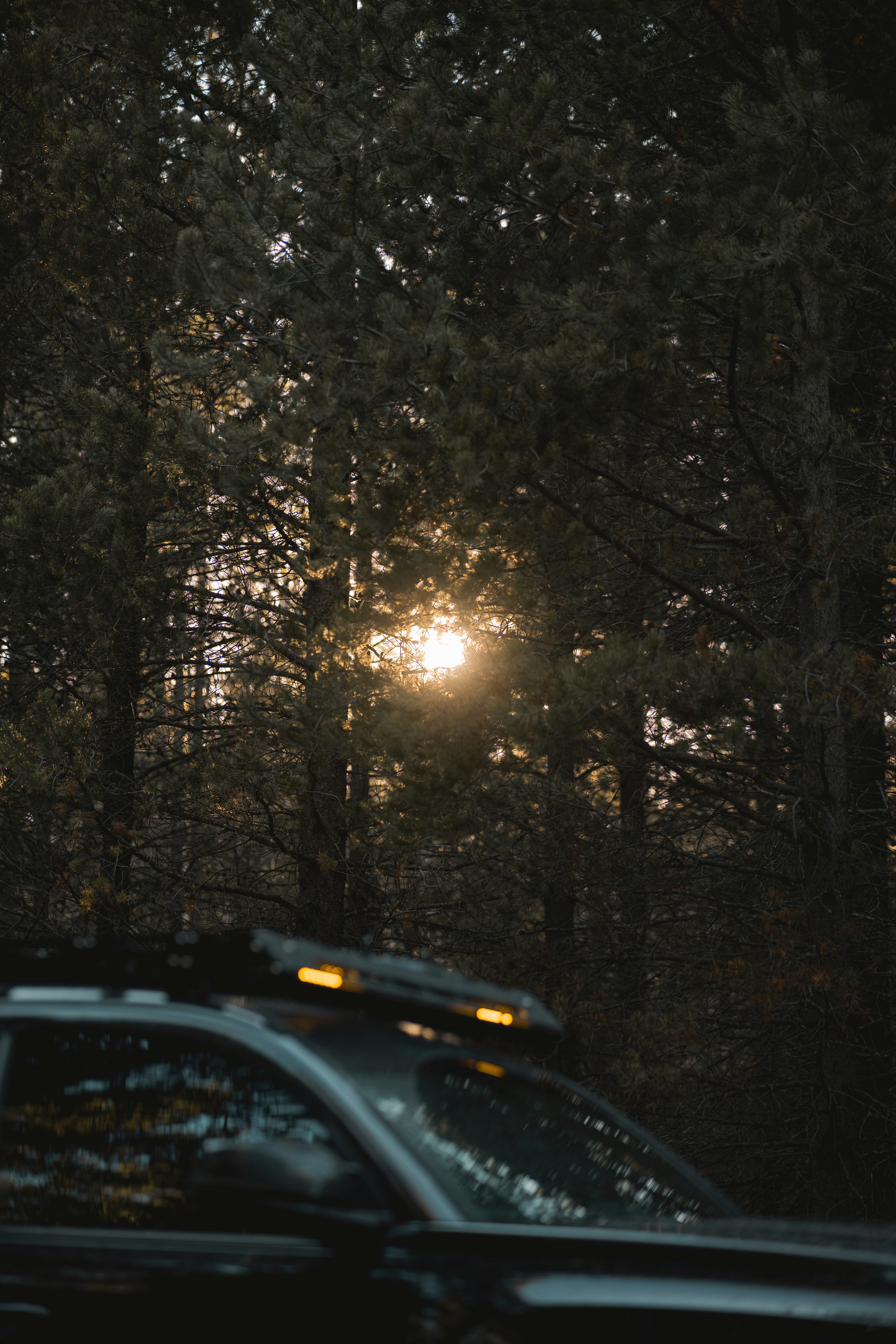 Photo by isaactmitchell