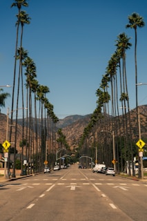 A road lined with tall palm trees stretches towards distant mountains under a clear blue sky. Vehicles are parked on both sides of the street, and traffic signs are visible. The scene conveys a sense of calm and spaciousness, characteristic of a sunny Californian landscape.