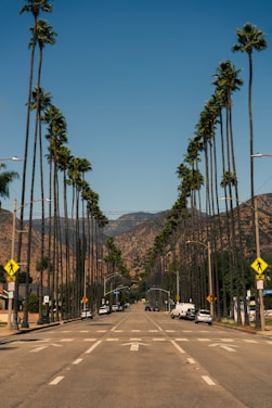 A road lined with tall palm trees stretches towards distant mountains under a clear blue sky. Vehicles are parked on both sides of the street, and traffic signs are visible. The scene conveys a sense of calm and spaciousness, characteristic of a sunny Californian landscape.