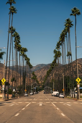 A road lined with tall palm trees stretches towards distant mountains under a clear blue sky. Vehicles are parked on both sides of the street, and traffic signs are visible. The scene conveys a sense of calm and spaciousness, characteristic of a sunny Californian landscape.