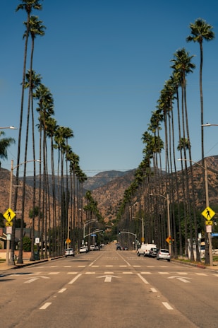 A road lined with tall palm trees stretches towards distant mountains under a clear blue sky. Vehicles are parked on both sides of the street, and traffic signs are visible. The scene conveys a sense of calm and spaciousness, characteristic of a sunny Californian landscape.