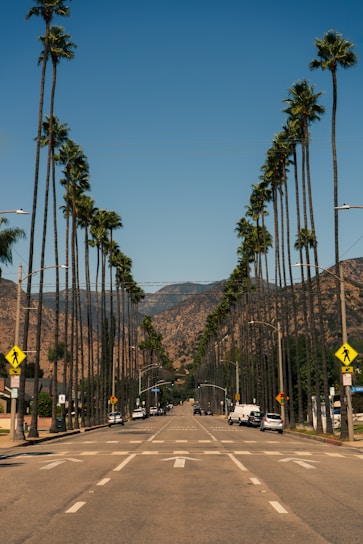 A road lined with tall palm trees stretches towards distant mountains under a clear blue sky. Vehicles are parked on both sides of the street, and traffic signs are visible. The scene conveys a sense of calm and spaciousness, characteristic of a sunny Californian landscape.