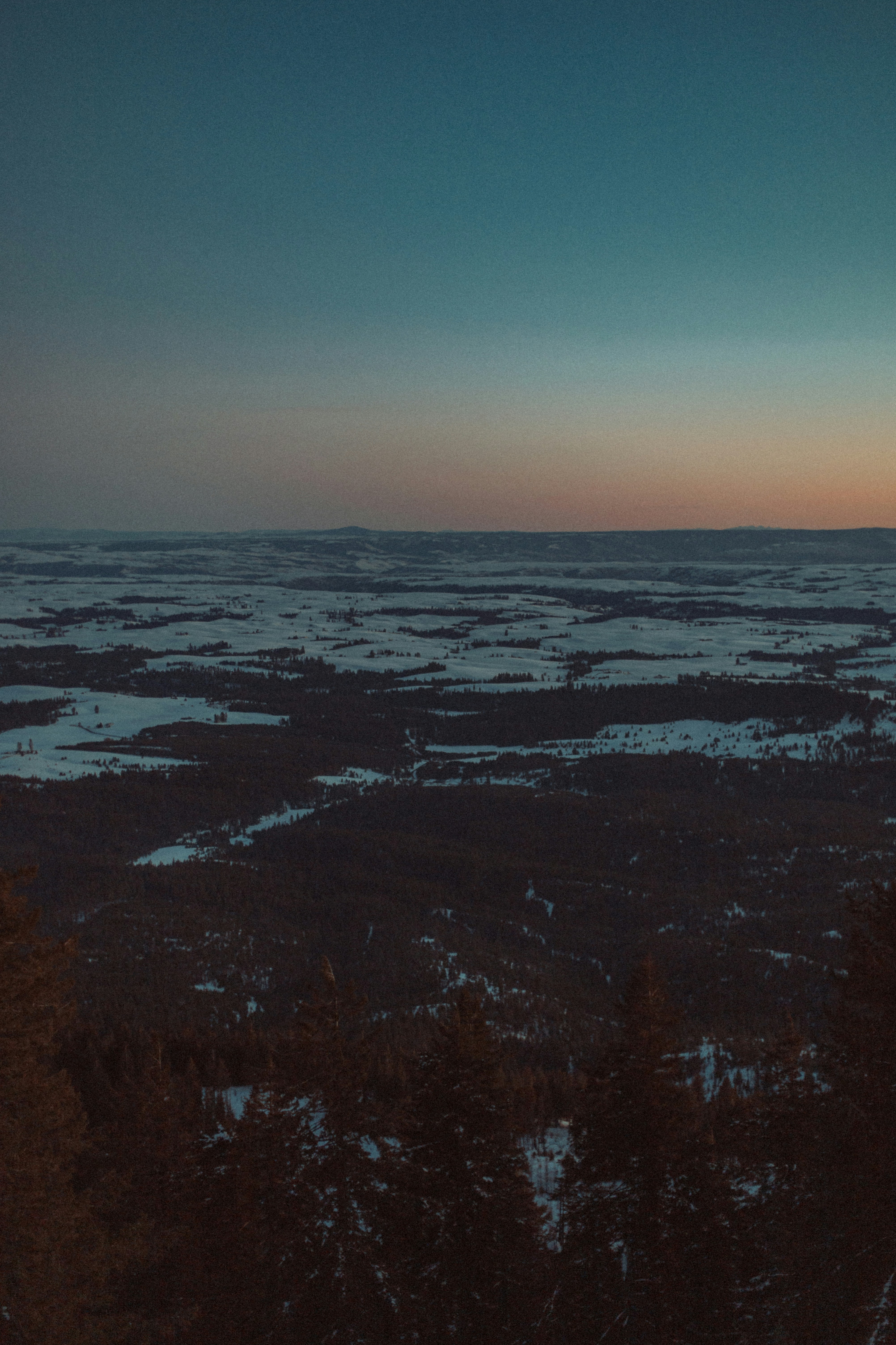 a landscape with snow and trees