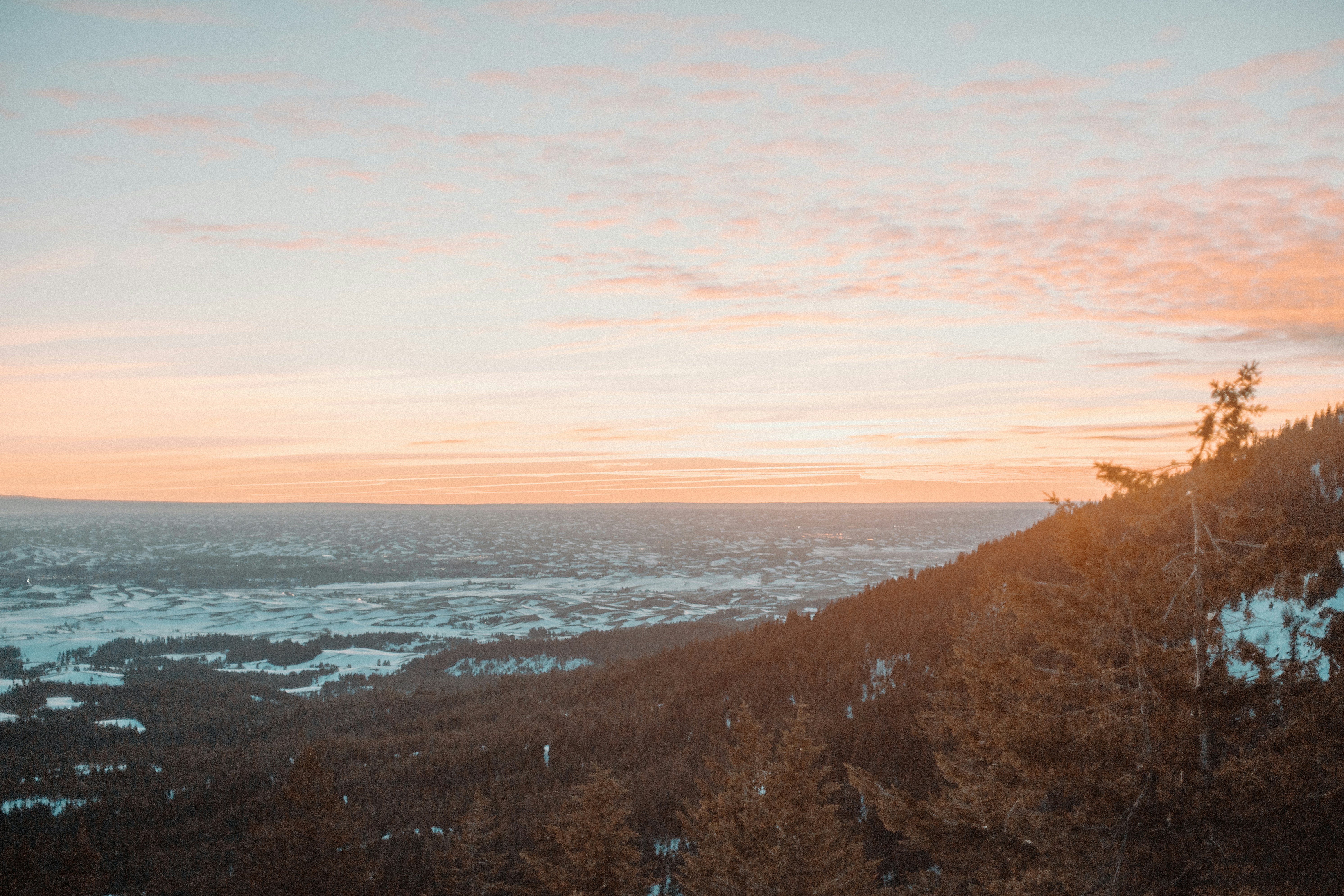 a view of the ocean from a hill, 