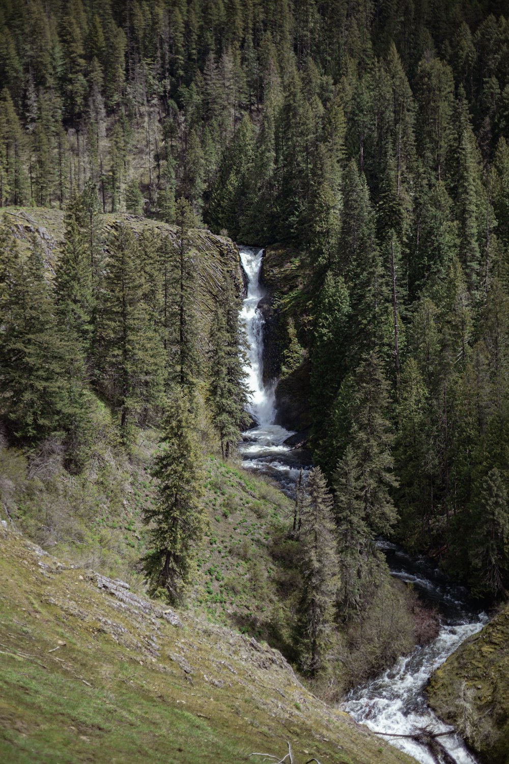 a waterfall in a forest