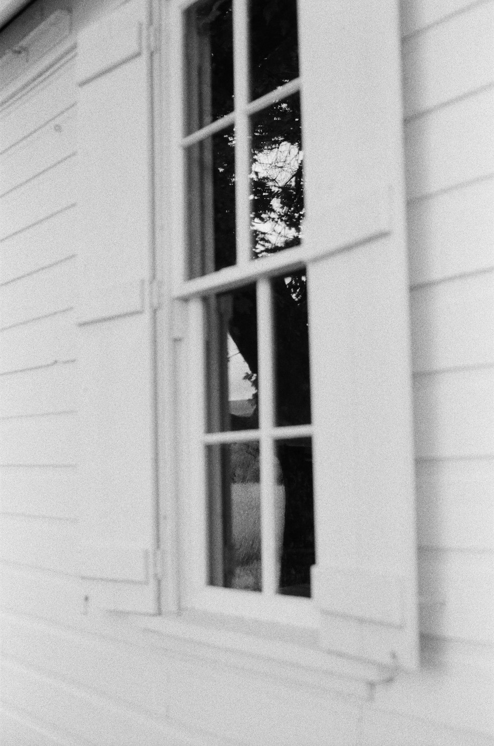 a person looking out a window