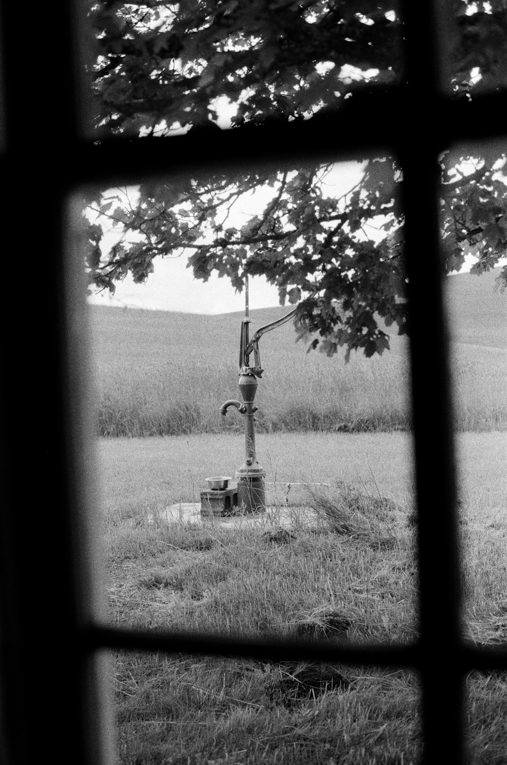 a window with a view of a field and trees