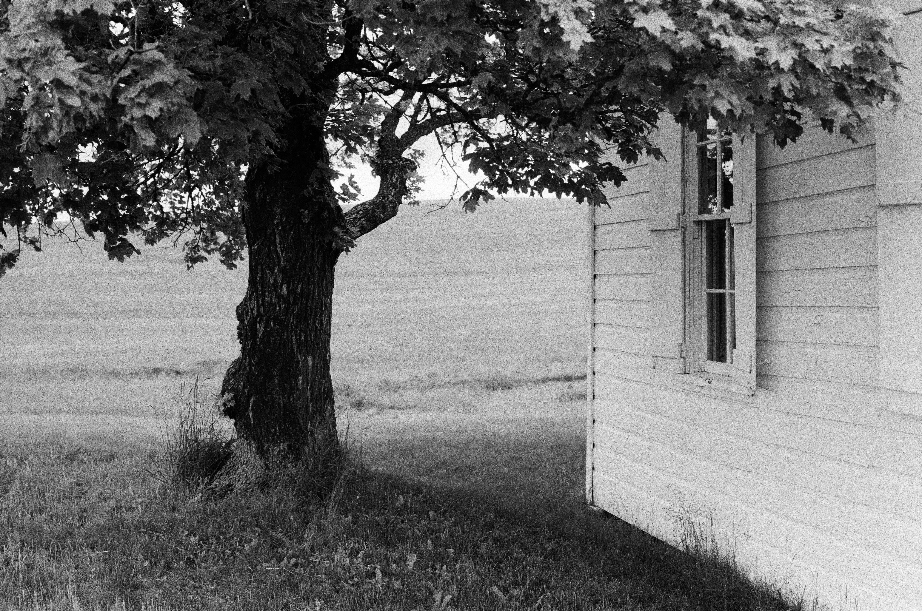 Photo by _after_beauty