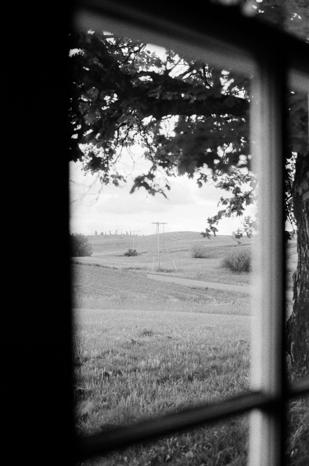 a view through a window of a field and trees