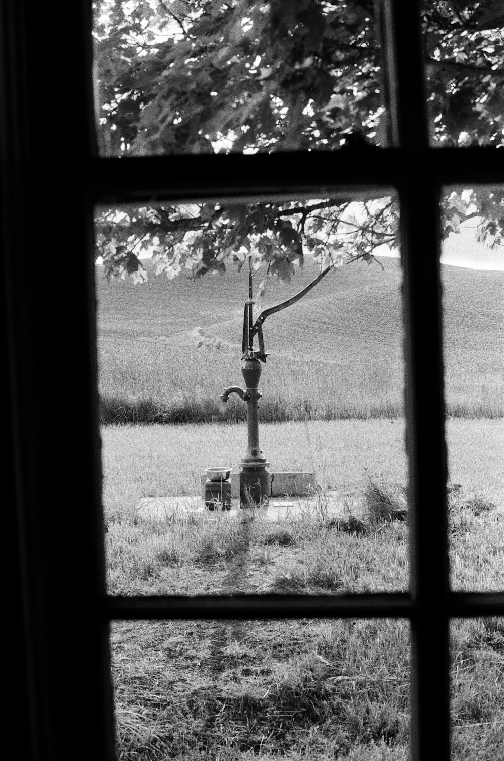 a window with a view of a field and trees