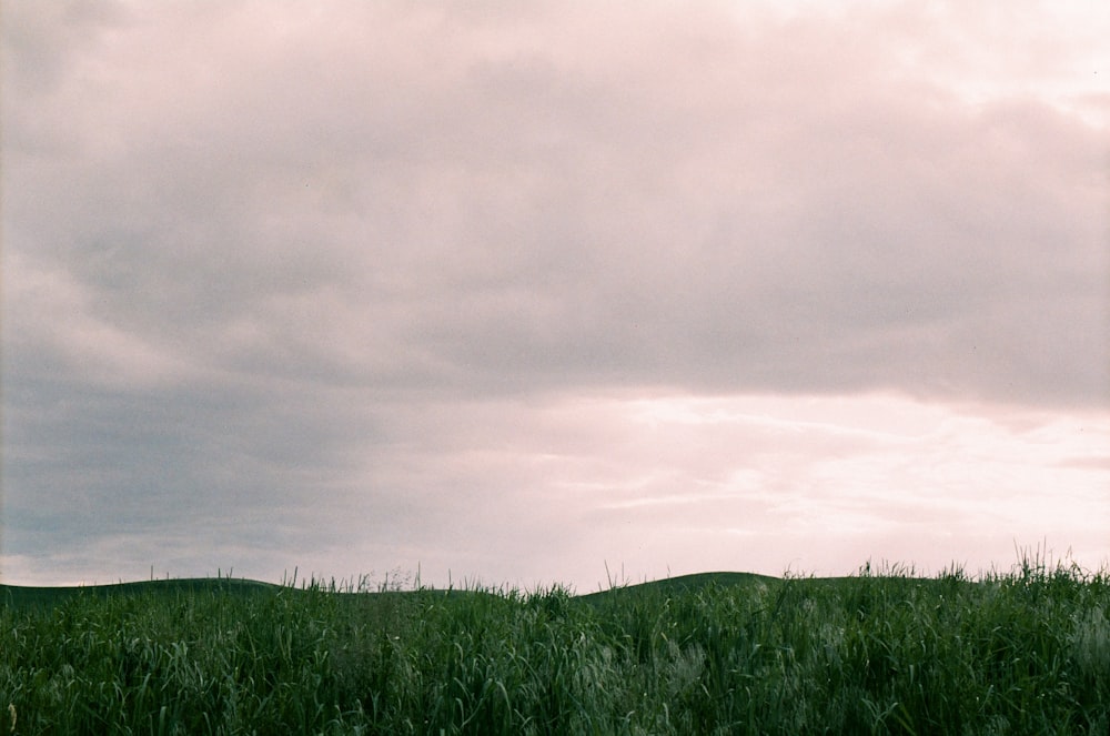 a grassy field with a cloudy sky