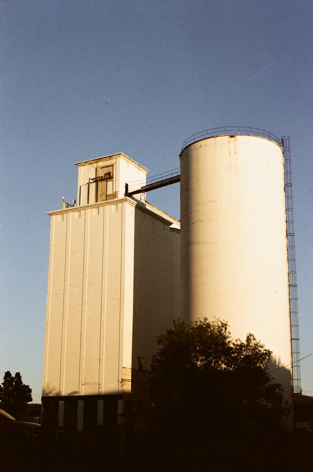 a few silos with a tree in front of them