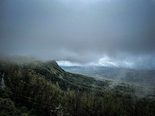 a landscape with trees and mountains