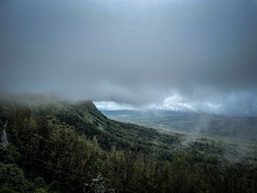 a landscape with trees and mountains