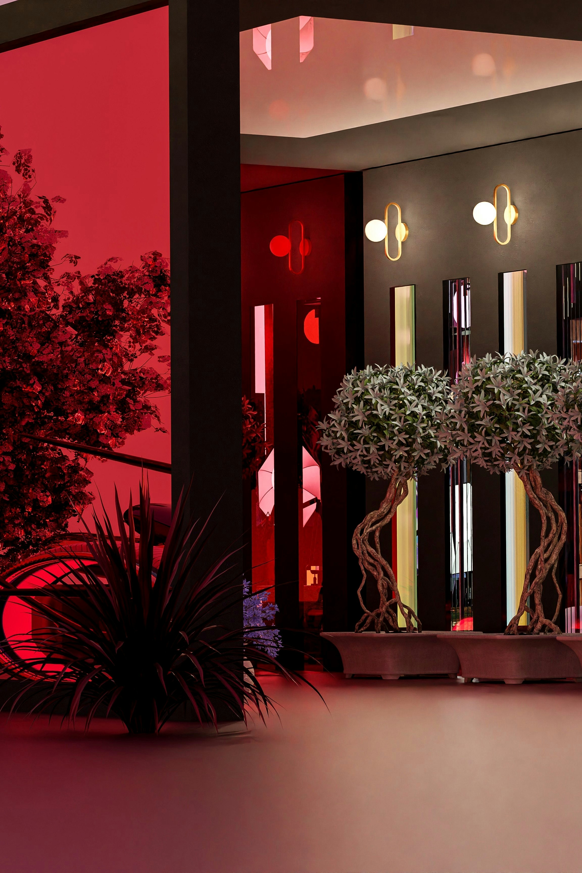 a group of plants in a room