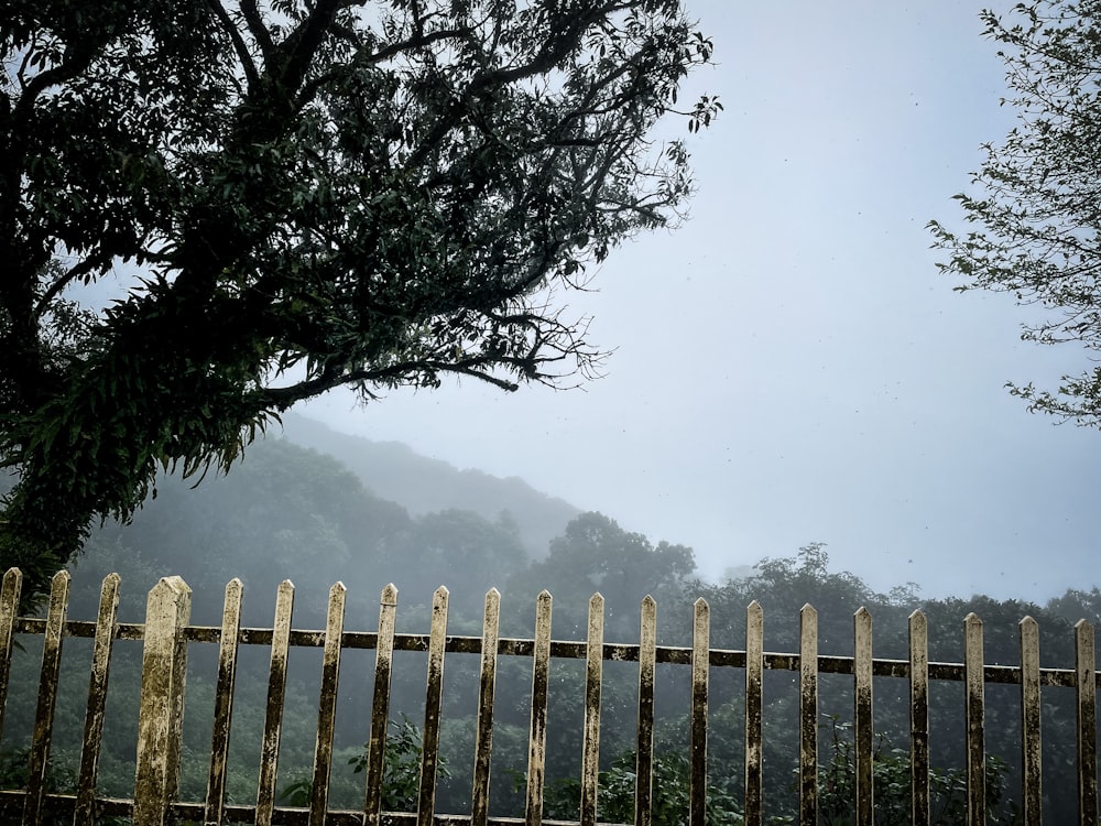 a fenced in field with a tree and hills in the background