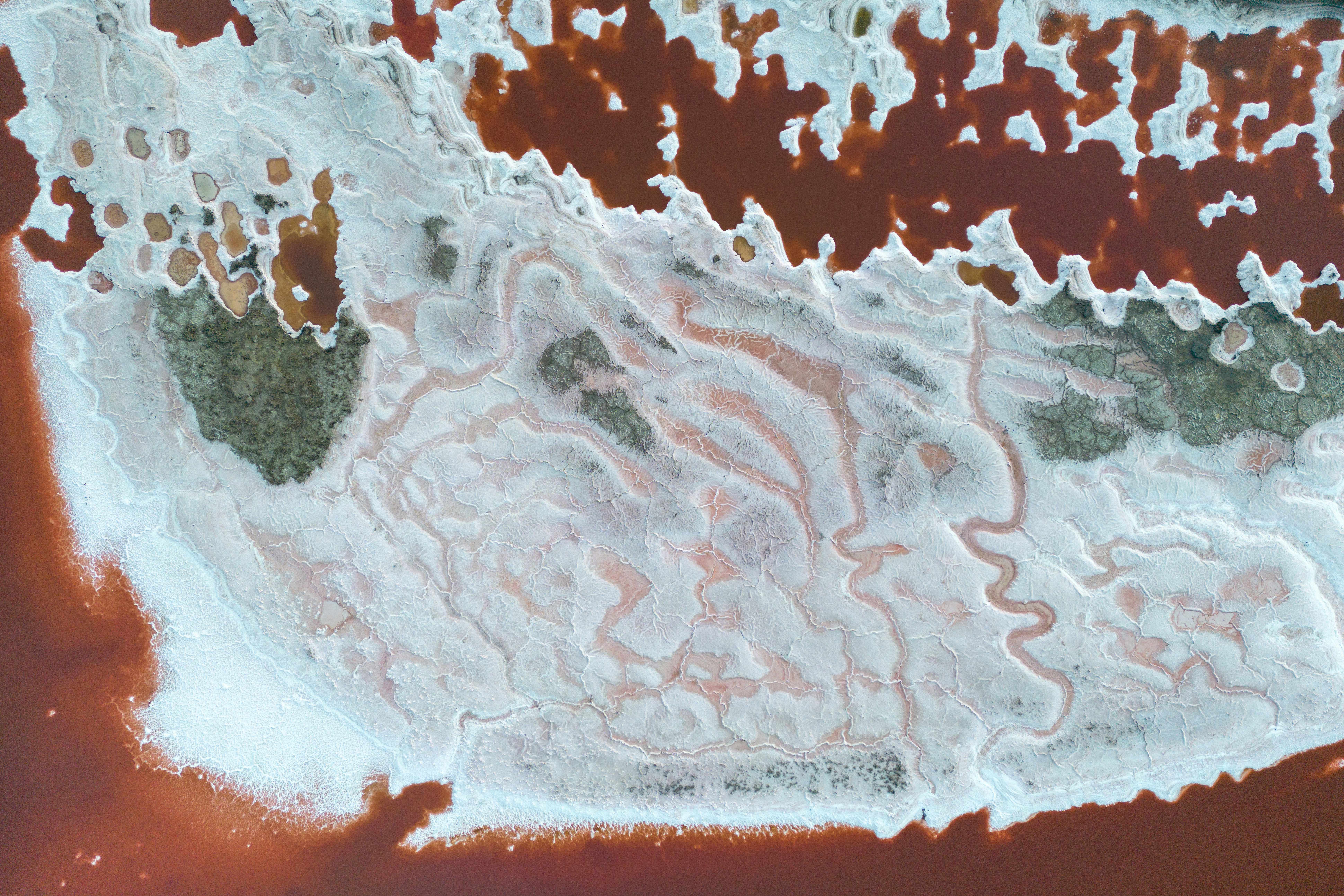 photo-1664169491108-d6b40793b446?ixid=M3wxMjA3fDB8MXxzZWFyY2h8OHx8Z3J1bnQlMjBzY3plcG55JTIwcG9kJTIwZmFyYiVDNCU5OSUyMG5hJTIwa2FmZWxraSUyMGNlbmF8ZW58MHx8fHwxNzY1NTE1MzE5fDA\u0026ixlib=rb-4.1.0