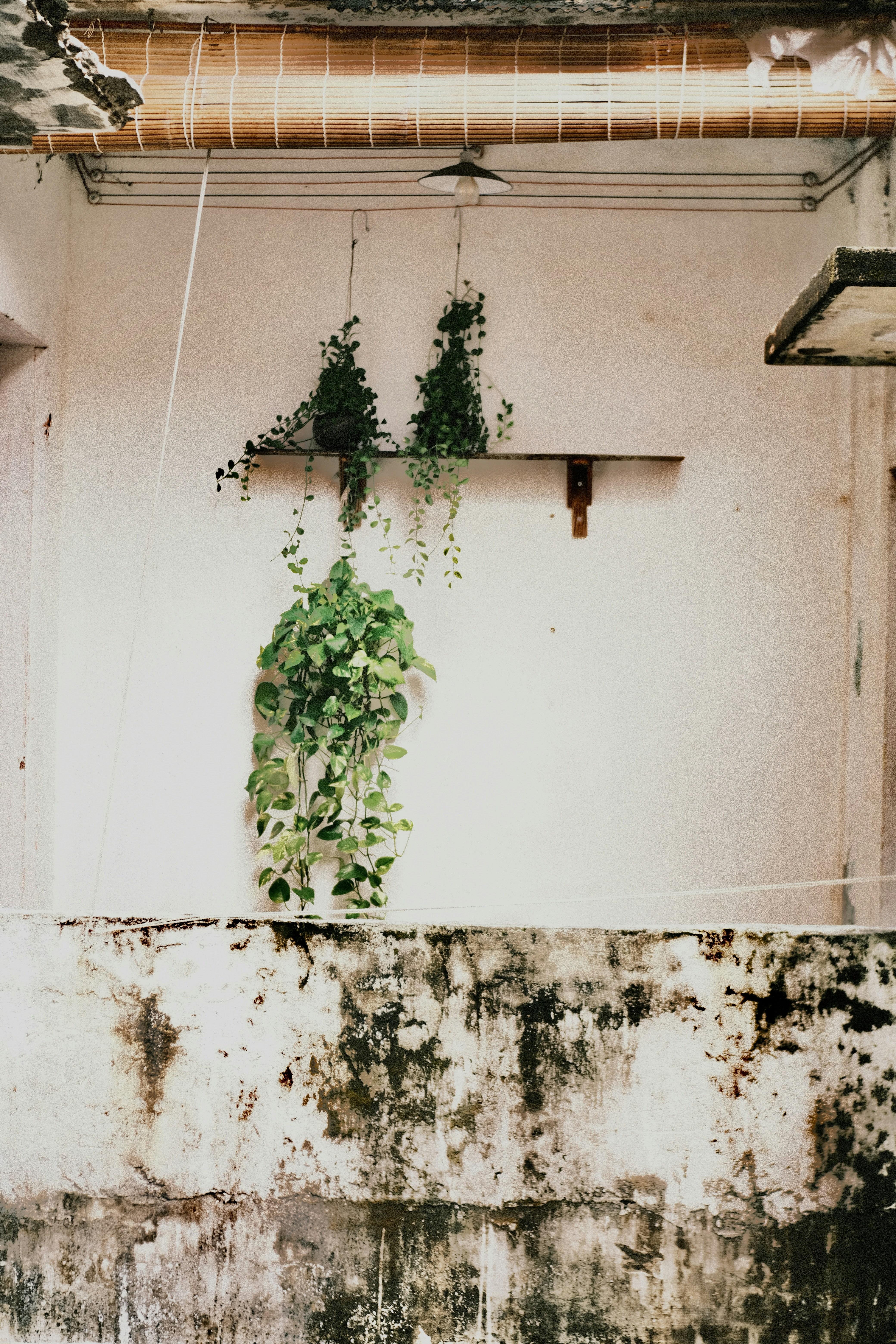 Photo by dvhoang2106