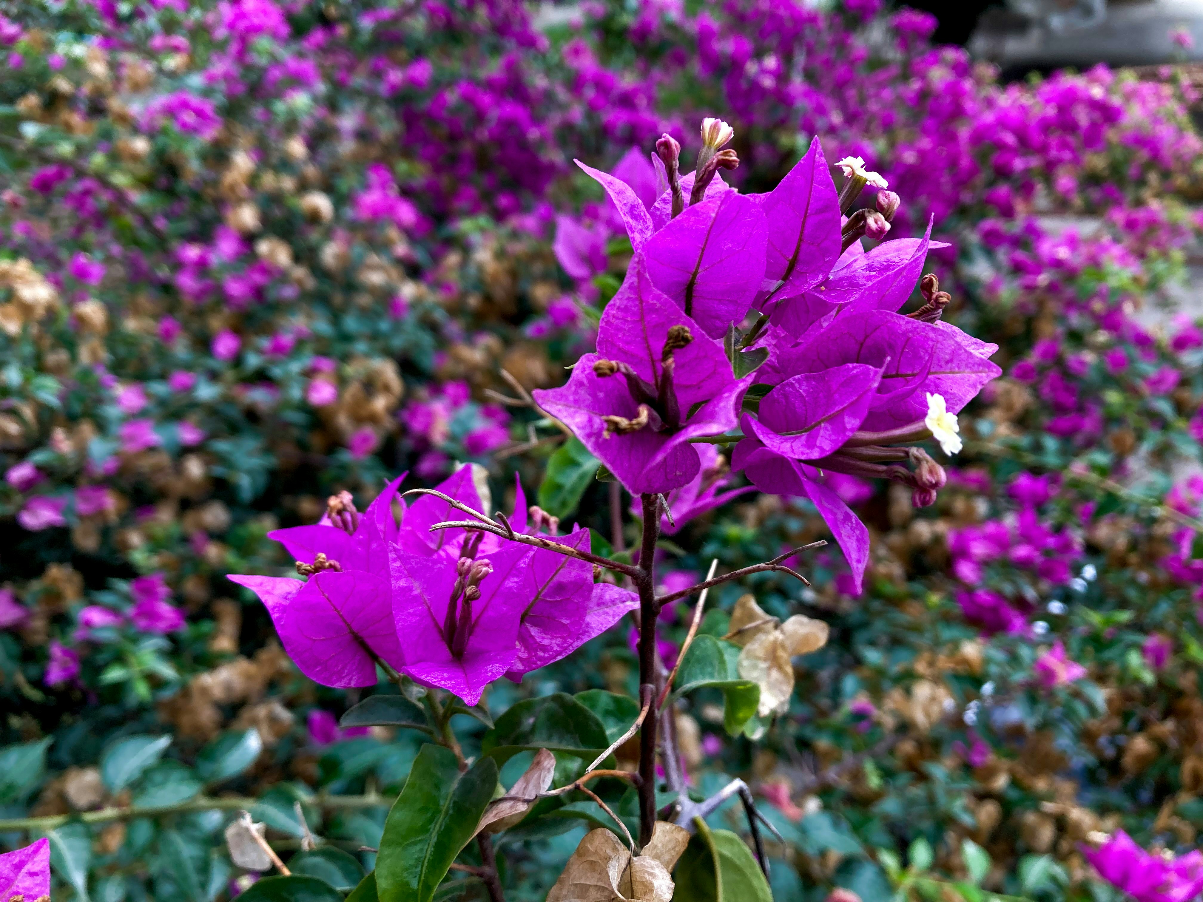 Photo by kiaei2001