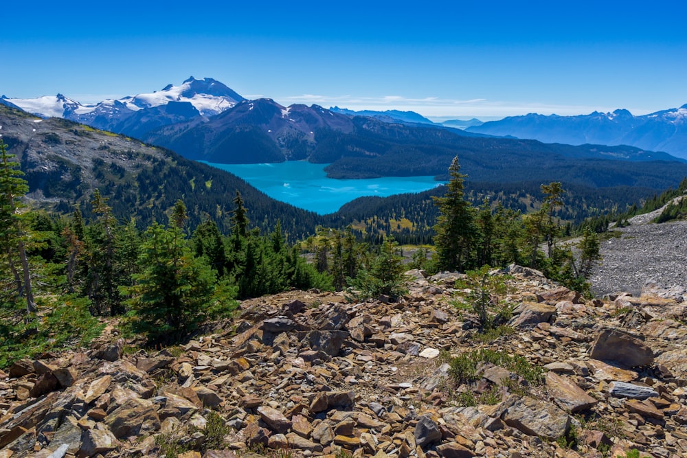 a rocky area with trees and mountains in the background