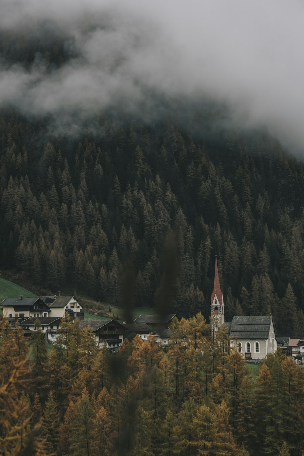 a group of houses in front of a forest