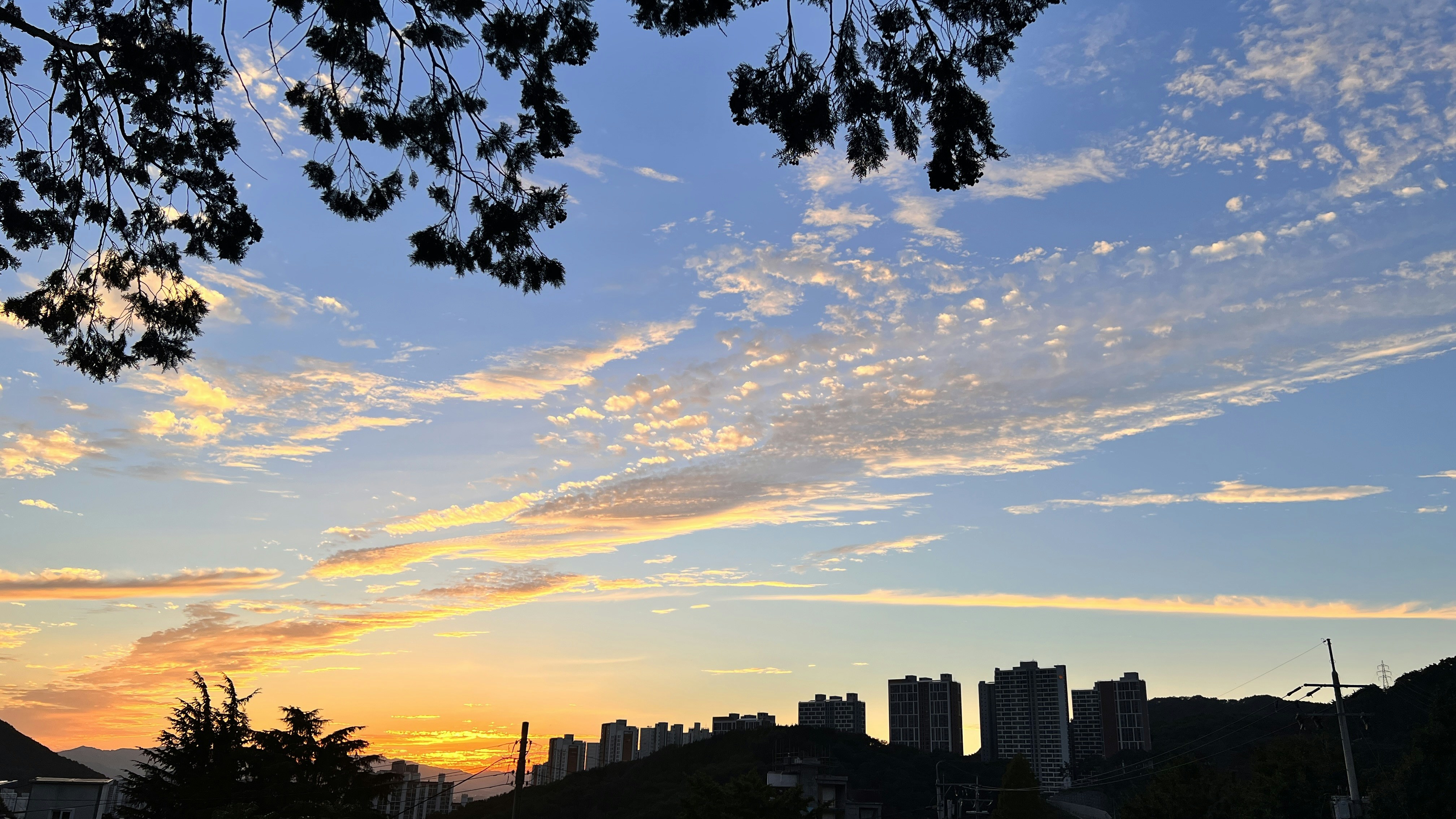 photo-1664172354046-af10284363c7?ixid=M3wxMjA3fDB8MXxzZWFyY2h8NHx8JUVCJUI2JTgwJUVDJTgyJUIwJTIwJUVDJUI2JTlDJUVDJTlFJUE1JUVCJUE3JTg4JUVDJTgyJUFDJUVDJUE3JTgwfGVufDB8fHx8MTc0MTI4ODkyOHww\u0026ixlib=rb-4.0.3