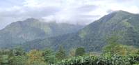 Best Quiet Cafes to Study in Ponmudi Without Getting Kicked Out