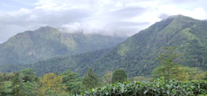 Ponmudi