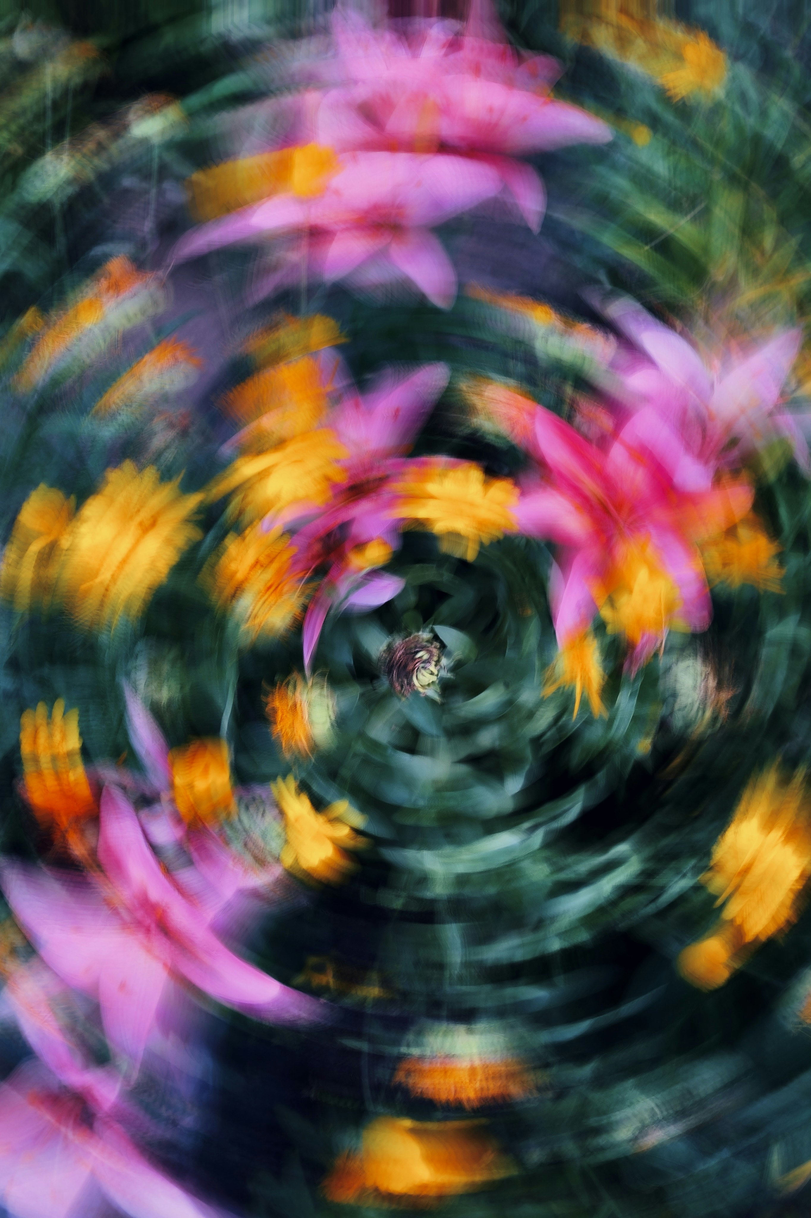 Photo by eugene_golovesov