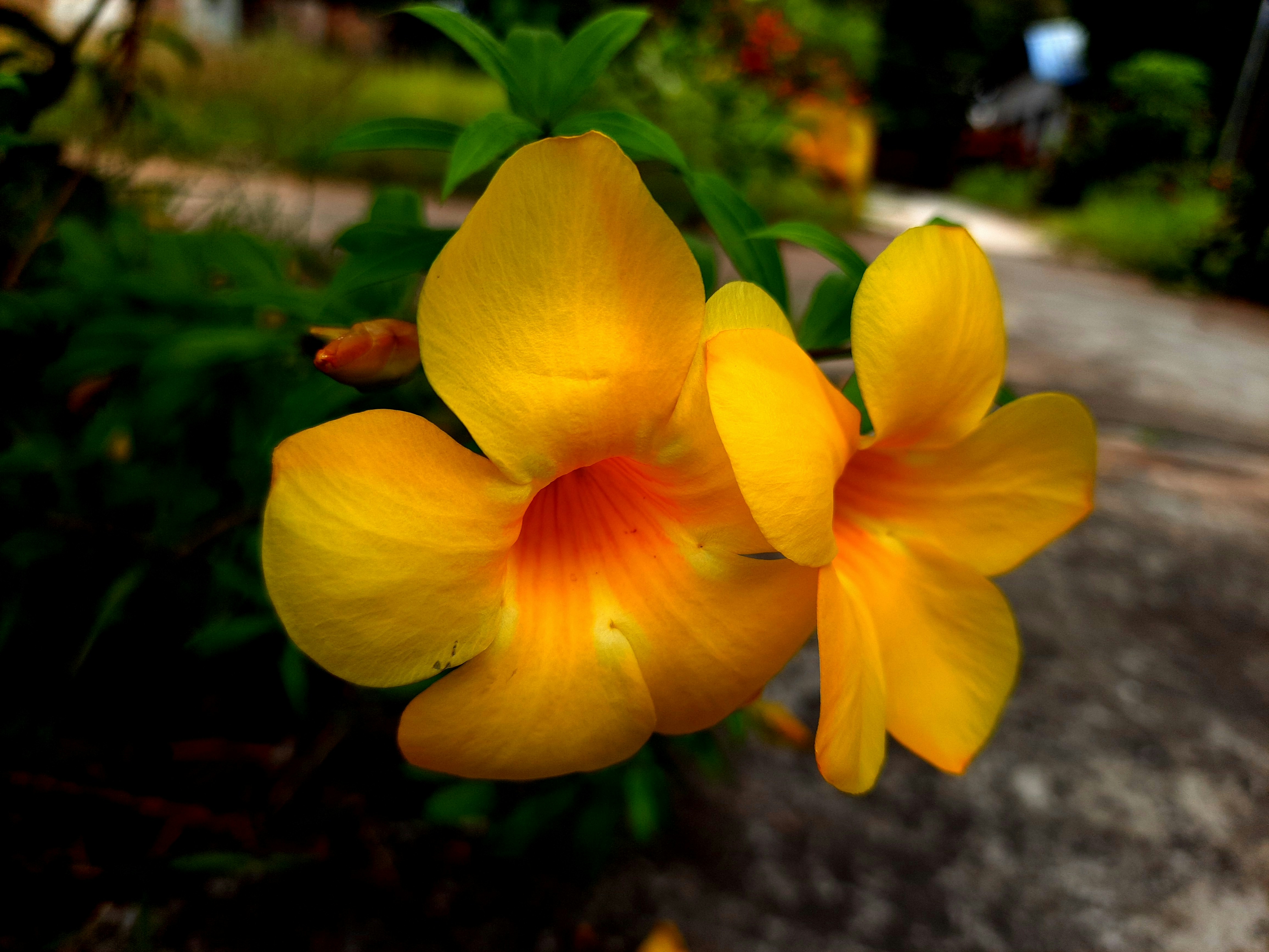 Photo by shutters_flutter