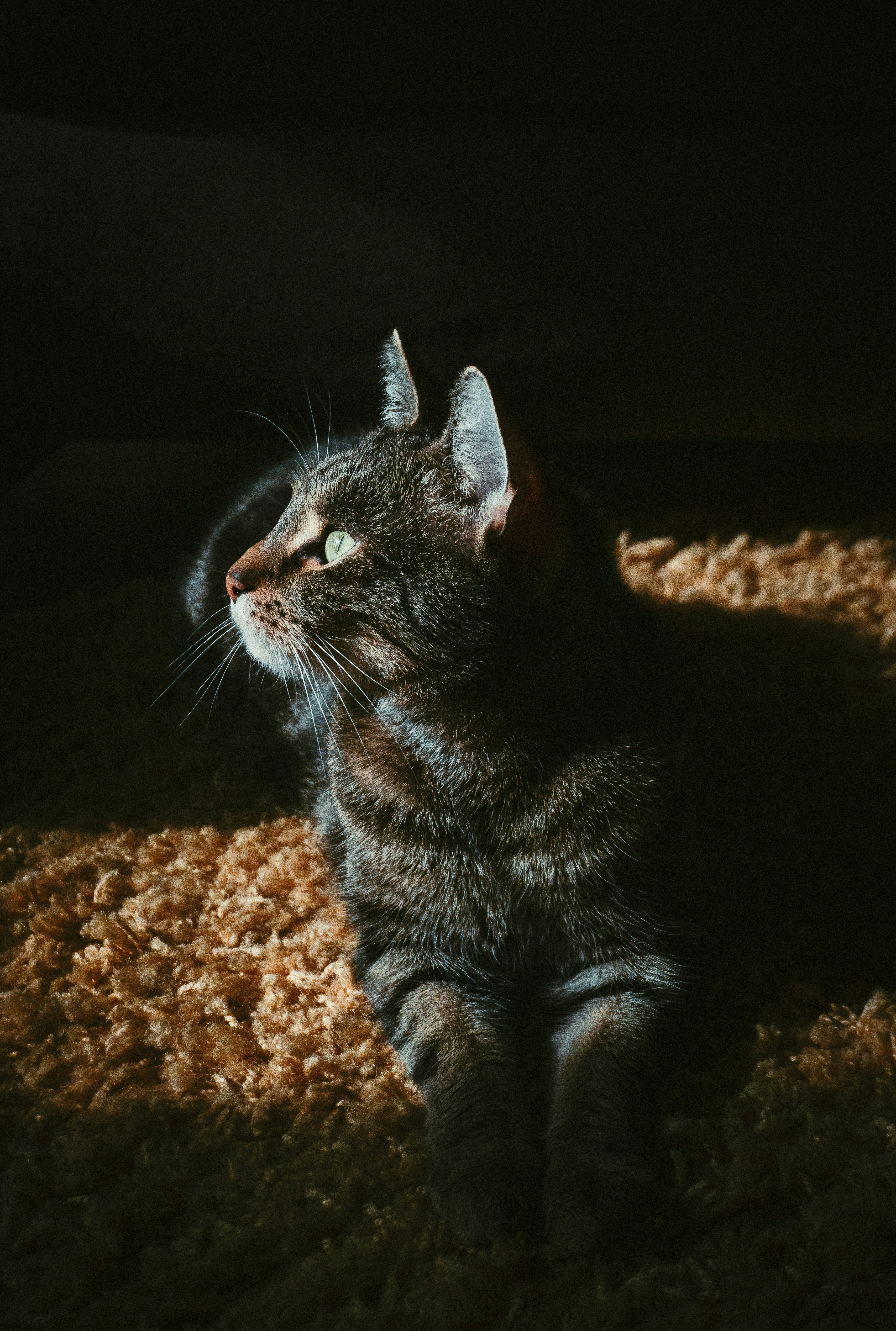 Photo by sindy_suessengut