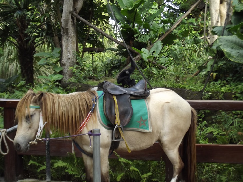 a horse with a saddle on its back