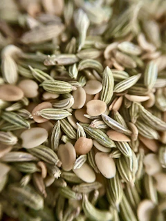 a pile of nuts