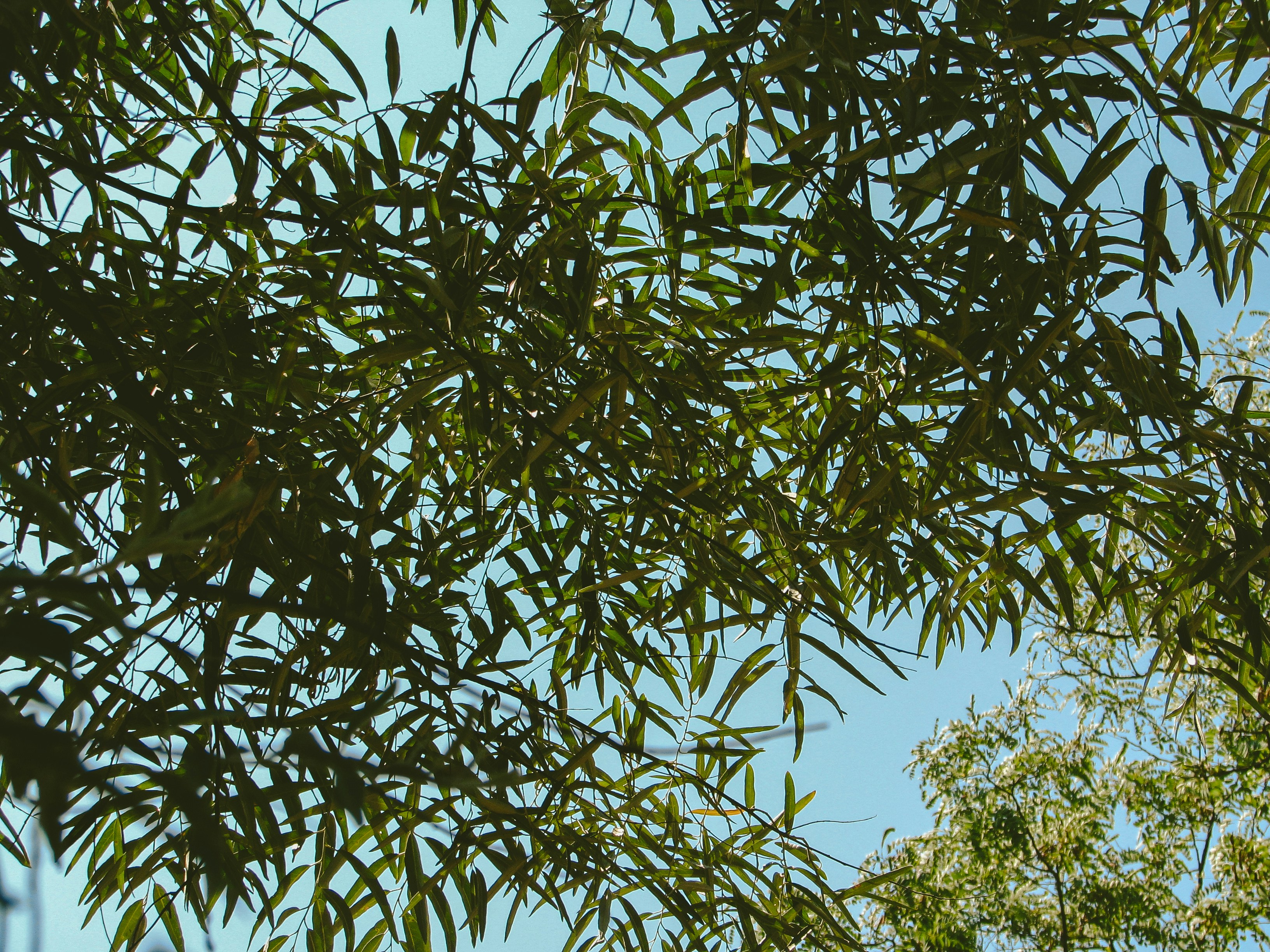 Photo by isabeladragu