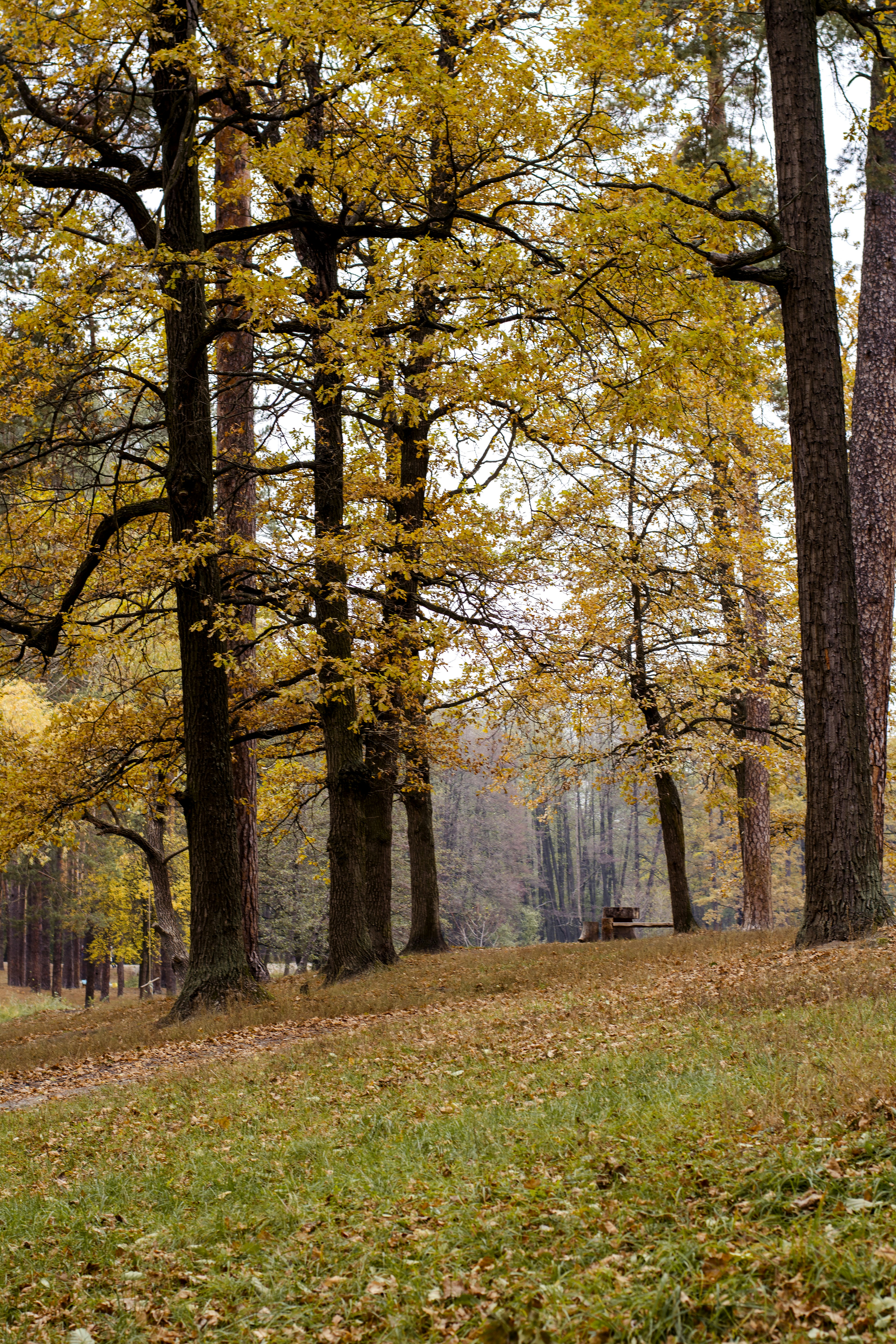 Photo by eugenivy_now