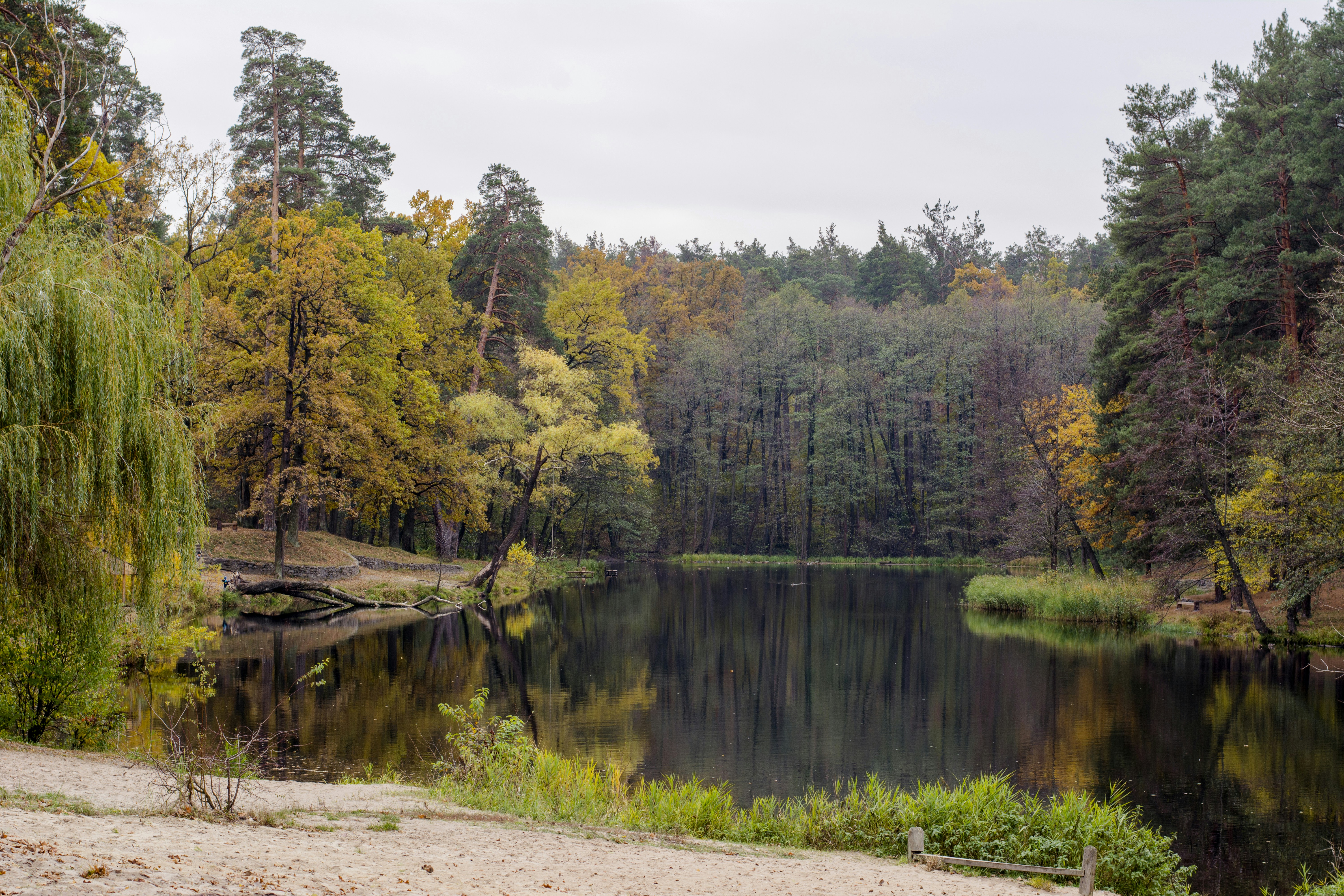 Photo by eugenivy_now